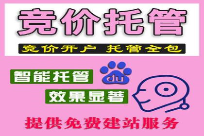 百度竞价推广公司经典案例研究：广告效果最大化策略
